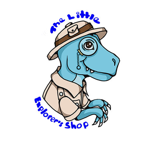 The Little Explorer's Shop logo
