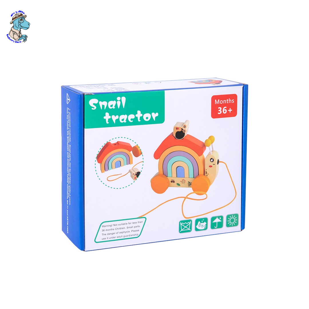 Wooden Rainbow Snail