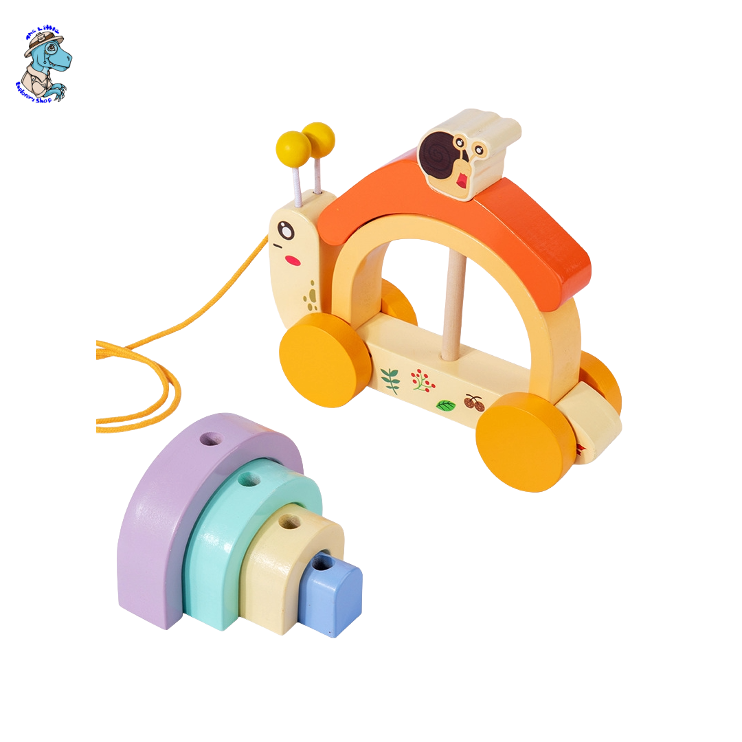 Wooden Rainbow Snail